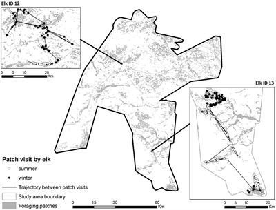 Hierarchical, Memory-Based Movement Models for Translocated Elk (Cervus canadensis)